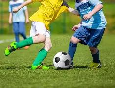 国米今夏考,虑售塔雷米,阿瑙托维奇,开云365,KaiYun365,开云365官网,开云365体育官网,开云365体育下载,开云365APP